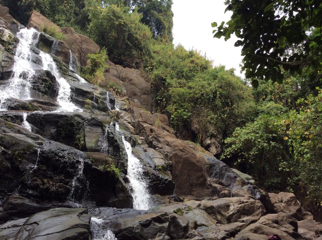 braveescape's tweet photo. Somewhere between the start of a trail and the end is the mystery of why we choose to walk.
location; Mahoma water falls in Fort portal, slide 3 shows the walk through the thick forest.
@braveescape 
#adventuretourism https://t.co/GUmL1BinLR