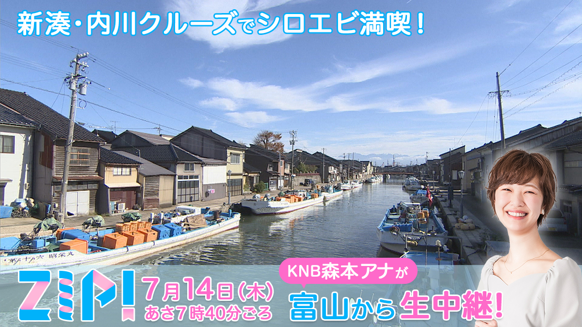 Knb 北日本放送 富山 開局70周年 ７月１４日の ｚｉｐ は日本のベニスと呼ばれる新湊 内川から生中継 ｋｎｂ森本アナが 遊覧船クルーズで絶景を楽しみながら富山湾の宝石 シロエビ を味わいます Knb 富山 Zip シロエビ 日本のベニス