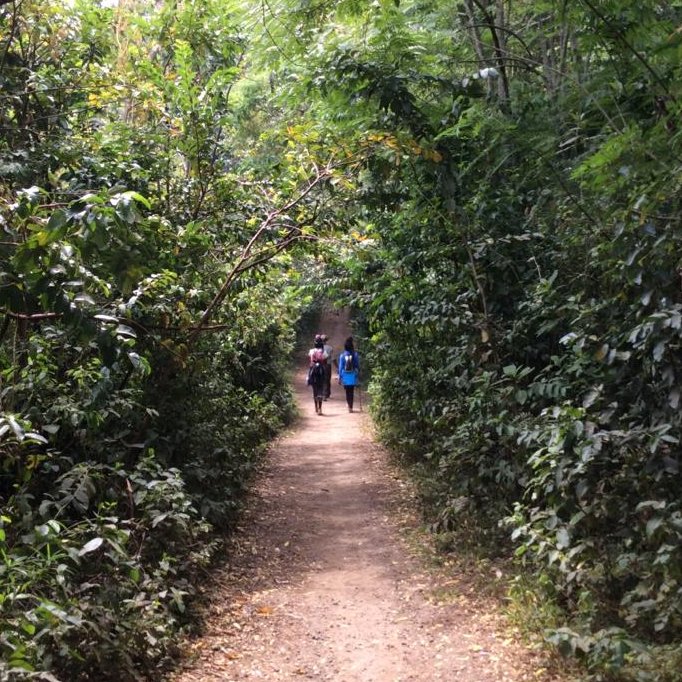 braveescape's tweet photo. Somewhere between the start of a trail and the end is the mystery of why we choose to walk.
location; Mahoma water falls in Fort portal, slide 3 shows the walk through the thick forest.
@braveescape 
#adventuretourism https://t.co/GUmL1BinLR