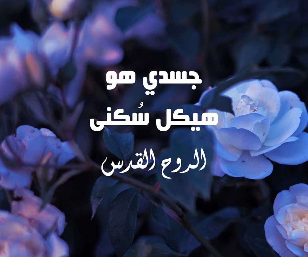 douaihy1's tweet photo. https://t.co/gs5Laq4fa7