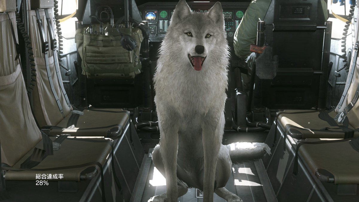 Mgsvpc Twitter Search Twitter