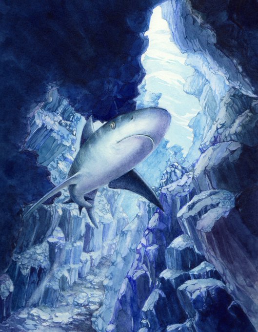 サメ怖いのtwitterイラスト検索結果