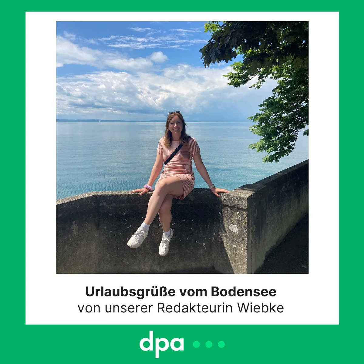 dpa-Custom Content tweet media