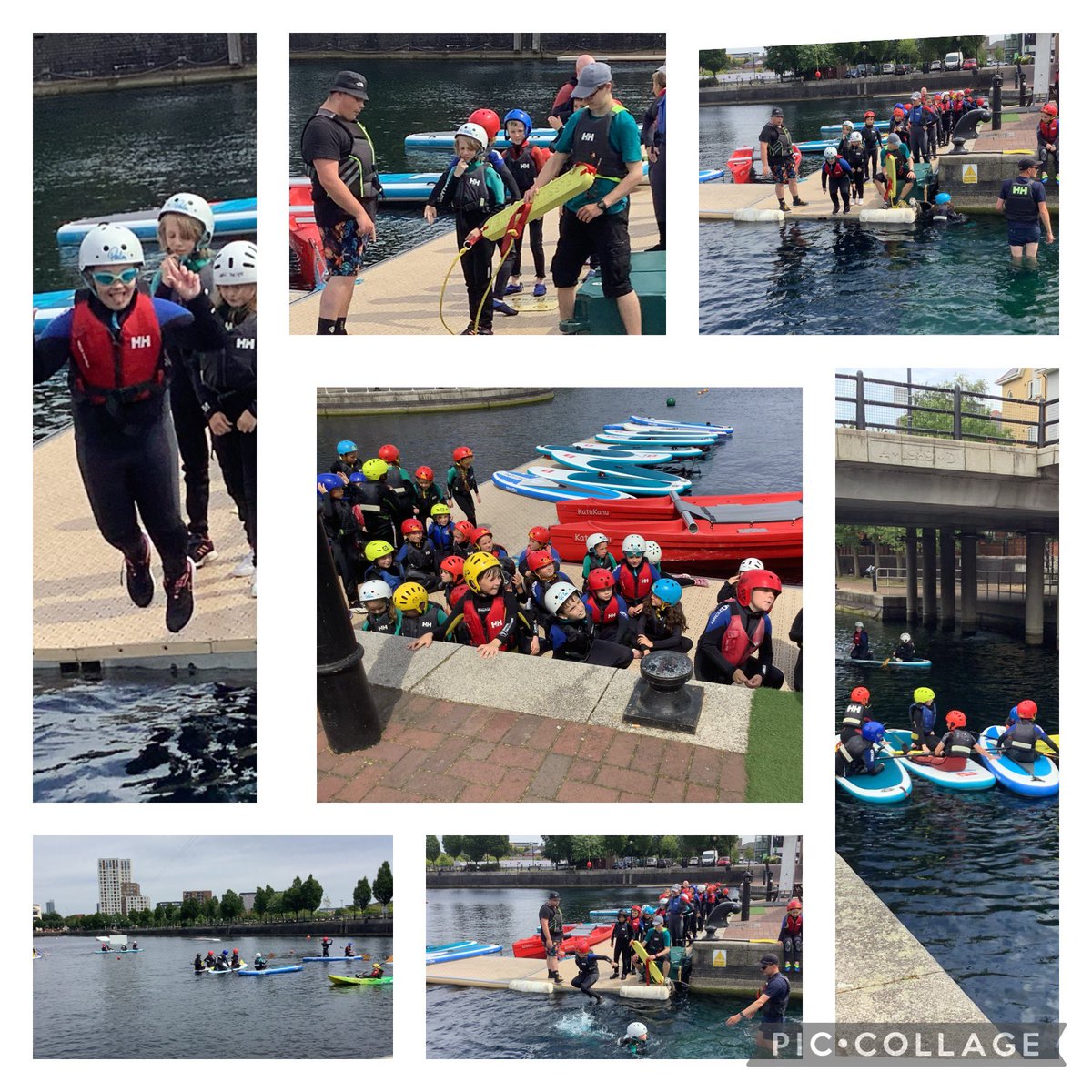 Pine Class St.David’s Haigh tweet media