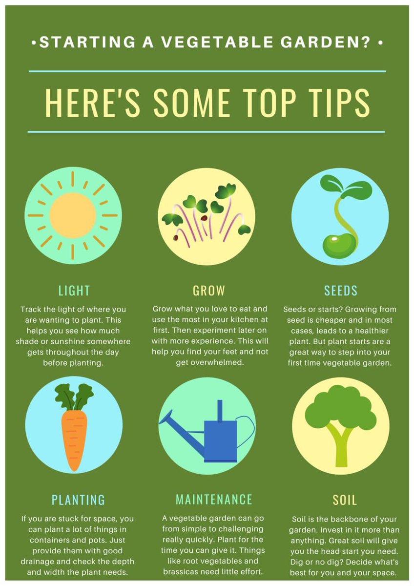 PFFA_UK's tweet photo. It’s never too late to start.
Today take some time to think about what you can plant for winter harvesting.
#PFFA #HungerGap #GetSowing https://t.co/16mljZIWDB