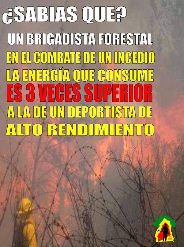 BRIF_PINO's tweet image. 