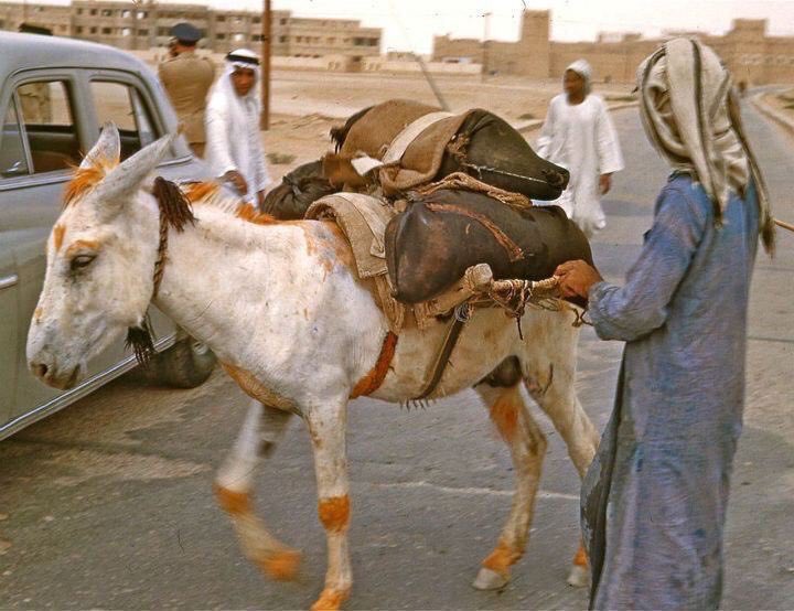 ka_km511's tweet photo. #الرياض_الان #اكسبلور اسلوب الحياة القديم - الرياض 1950م - المملكة العربية السعودية 🇸🇦. https://t.co/7A8NxL6T9A