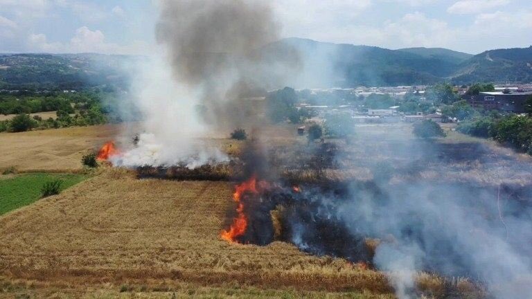 NerminSekin1's tweet photo. Nerdesin Türk medyası?Türkiye'nin bir çok şehrinde buğday tarlaları yakılıyor https://t.co/u7e5NLy7yj
