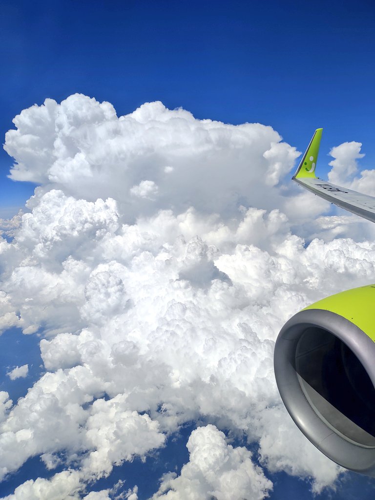 値引き 空の旅 0top Jp