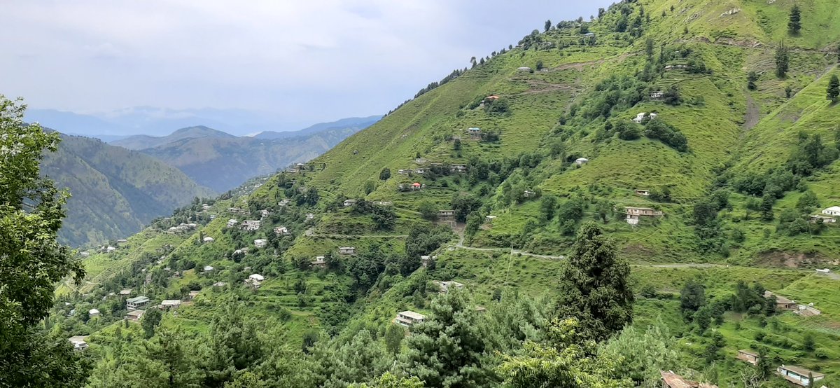 LifeLensScape's tweet photo. Namli Mera is a mountainous village in Abbottabad, Khyber Pakhtunkhwa, Pakistan. It is nestled on mountain ridges in the foothills of Miranjani, the highest peak in the district. It is connected to main Abbotabad - Nathia Gali Road through a metalled road.
#BeautifulPakistan https://t.co/GFTHg2sF7X