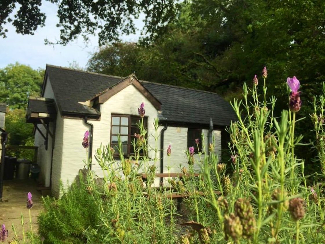 oaktreecwtch's tweet photo. Looking for a quirky staycation in the heart of a beautiful nature reserve in Pembrokeshire? Look no further! 💚👇🏼

https://t.co/Wqoe7D6pdI

#OakTreeCottage #Wildlife #Walks #TeifiMarshes #NatureReserve #Birds #WildlifeTrust #Otters https://t.co/8RQHgy1neT