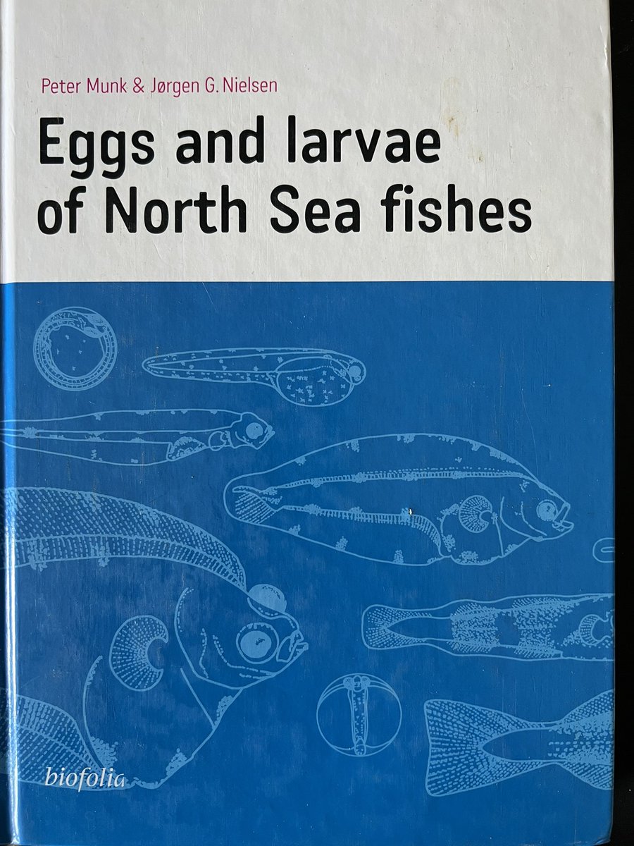 Adrian Pinder tweet media