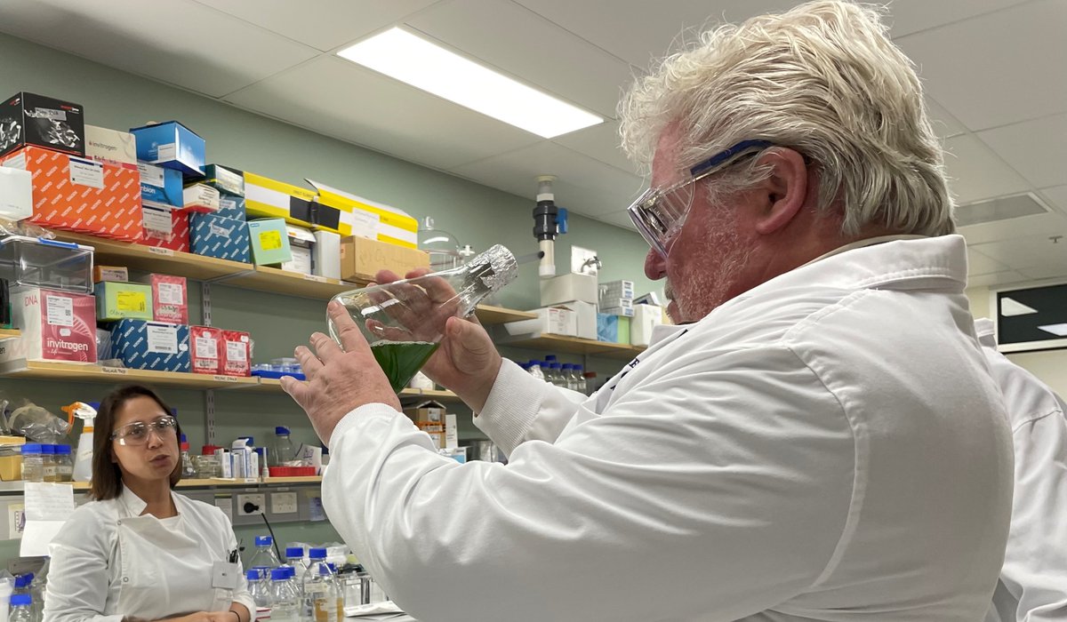 David Williams tweet media