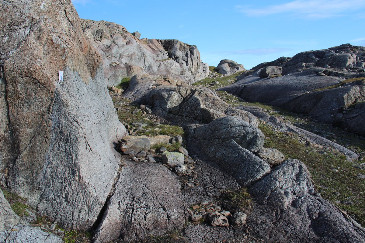 Good morning #serpentine enthusiasts! T-minus  56 days until the first webinar on serpentinedays.org