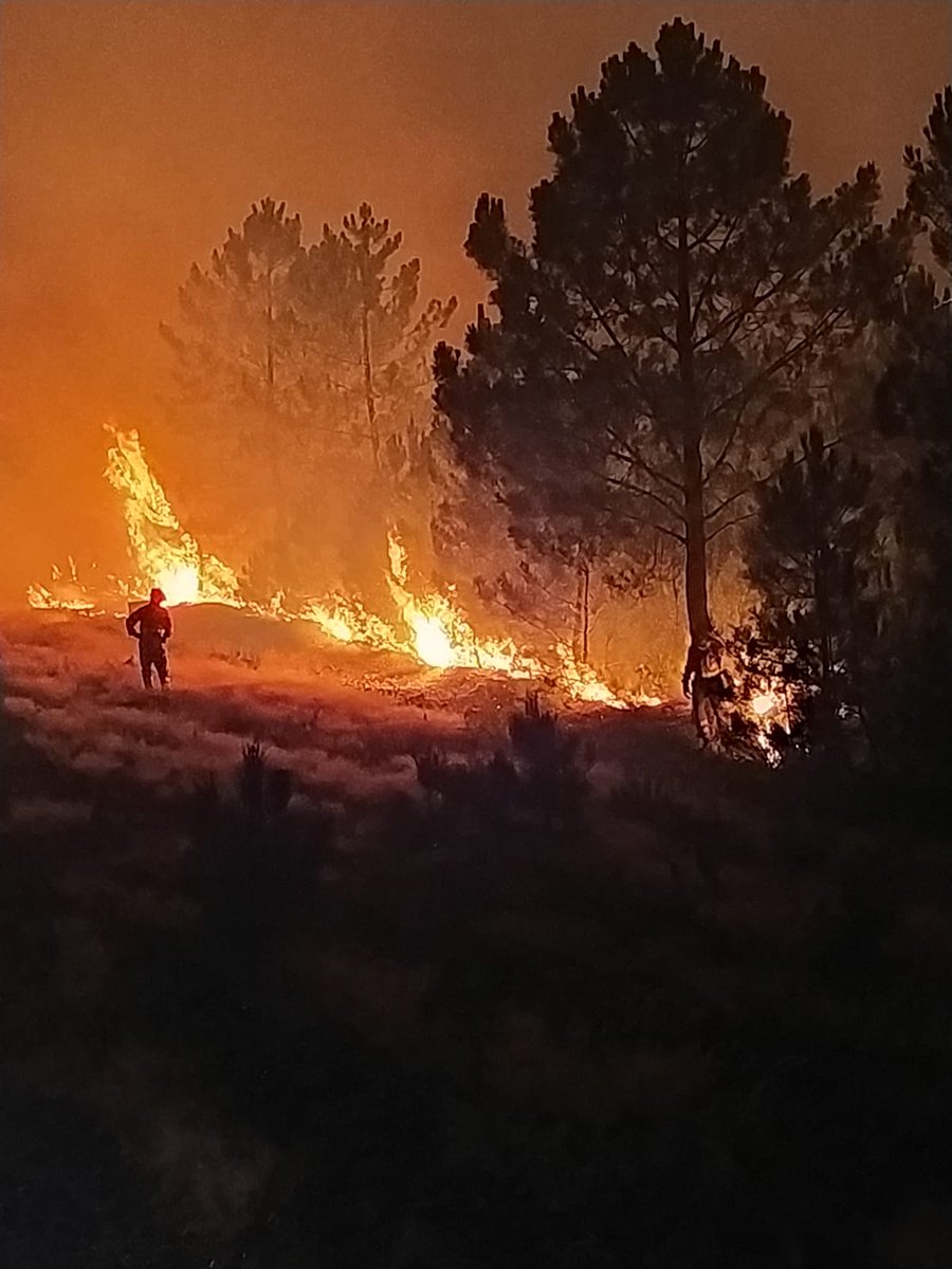 AT_Brif's tweet image. 9:17 | #IFLadrillar #Caceres 
Los compañeros de @BRIF_PINO RD y está en base después de actuar en el #IF

👉Realizaron conteafuego, una maniobr que precisa de tiempo y planificación. Anclaron el el río.

Mucho ánimo y buen descanso compañeros!