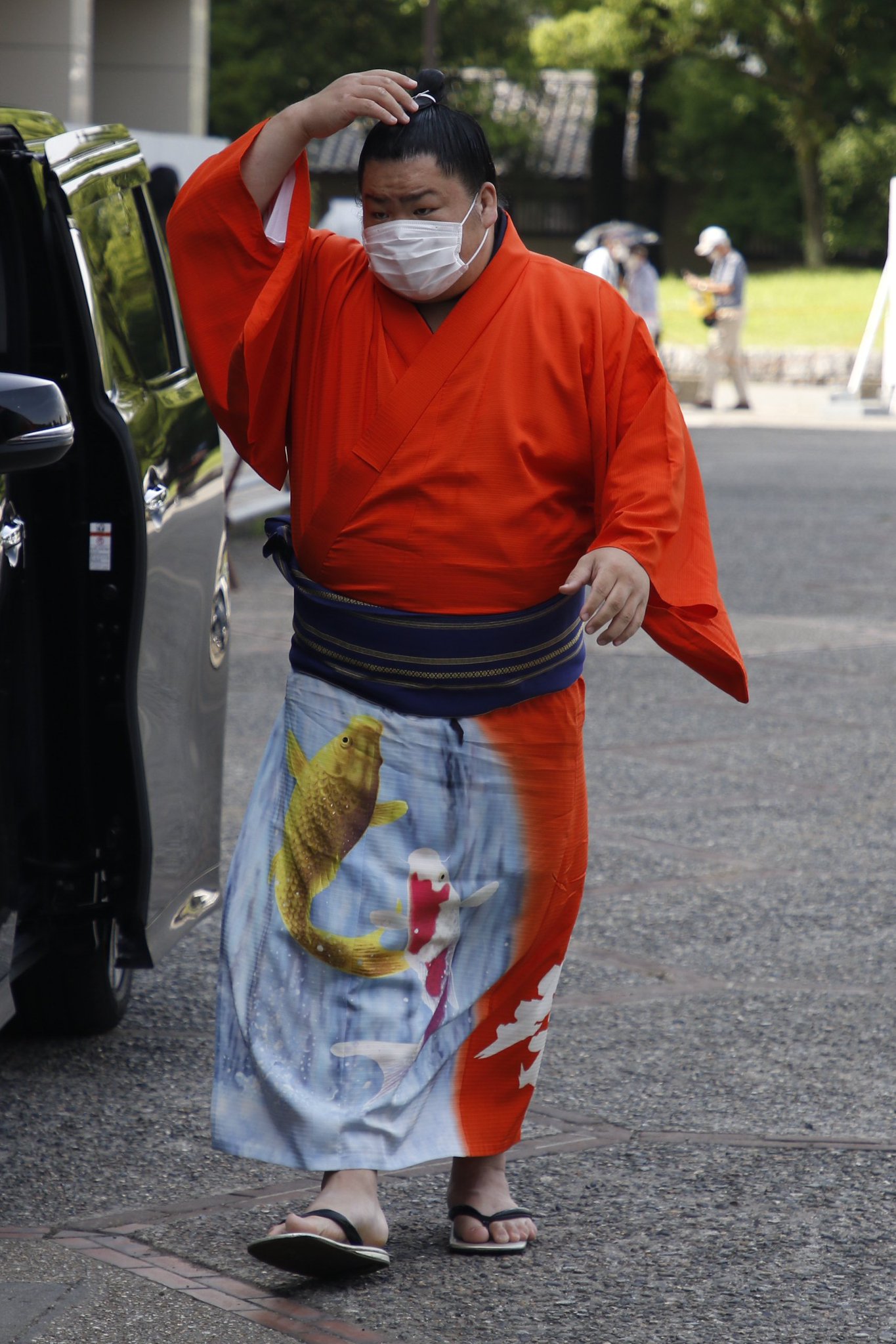 早い者勝ち！大相撲 反物 浴衣 着物 追手風部屋 大栄翔 早い者勝ち！大相撲 反物 浴衣 着物 追手風部屋 大栄翔 早い者