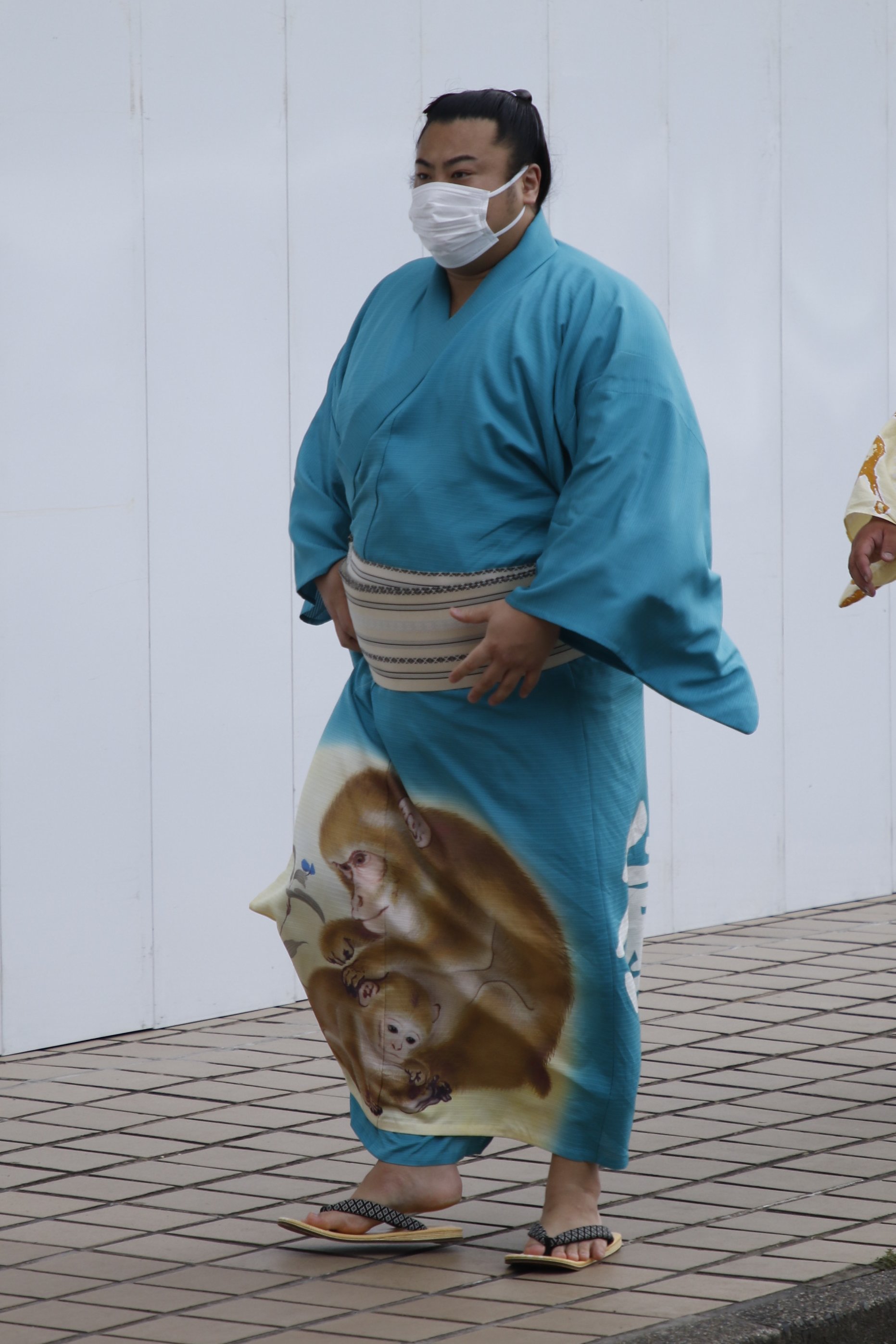 早い者勝ち！大相撲 反物 浴衣 着物 追手風部屋 大栄翔 大相撲 追手風部屋 大栄翔 反物｜Yahoo!フリマ（旧PayPayフリマ）