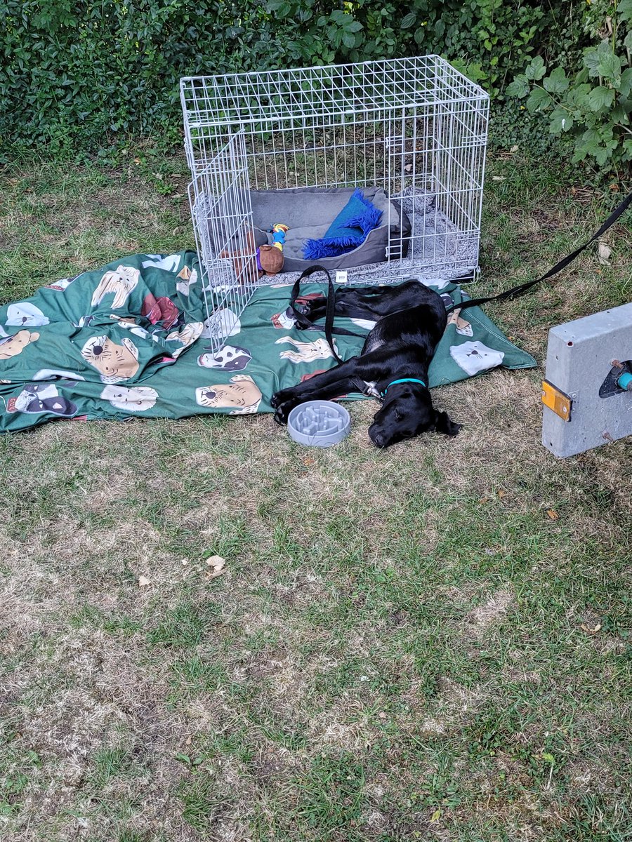 OnlyEssJay's tweet photo. My boys would all live outdoors if they could 💙💙💙🥰 #camping #cotswolds https://t.co/CcE1yNB0XS