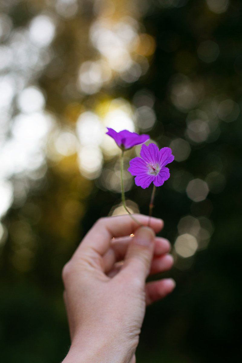 Kiitos @ekokompassi!
Ympäristövastuu tarkoittaa meille konkreettisia tekoja omassa toiminnassamme. Osoituksena siitä meille on myönnetty Ekokompassi-ympäristösertifikaatti.

Lue lisää lapuankankurit.fi/fi/ekokompassi 🌱

#vastuullisuus #läpinäkyvätuotanto⁠ #ekokompassi