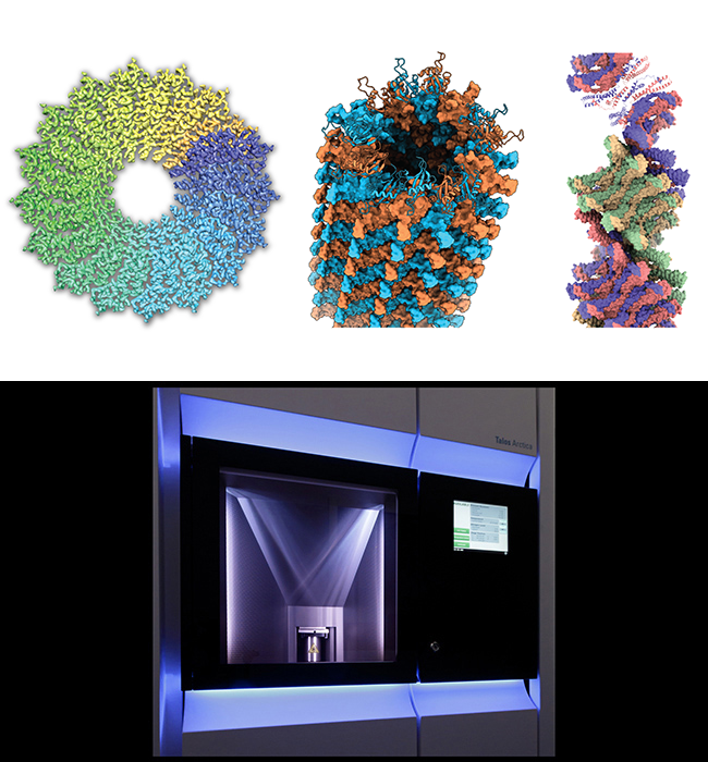 HIDSS4Health (@hidss4health) on Twitter photo Today's lecture on "Imaging Biological Molecules by Electron Cryo-Microscopy (cryo-EM)" (2pm) by Prof. Sachse from <a href="/fz_juelich/">Forschungszentrum Jülich | @fzj@social.fz-juelich</a> concludes the lecture series "Imaging - From Organisms to Molecules". We're looking forward to more such lecture series in the future! Today's lecture on "Imaging Biological Molecules by Electron Cryo-Microscopy (cryo-EM)" (2pm) by Prof. Sachse from <a href="/fz_juelich/">Forschungszentrum Jülich | @fzj@social.fz-juelich</a> concludes the lecture series "Imaging - From Organisms to Molecules". We're looking forward to more such lecture series in the future!