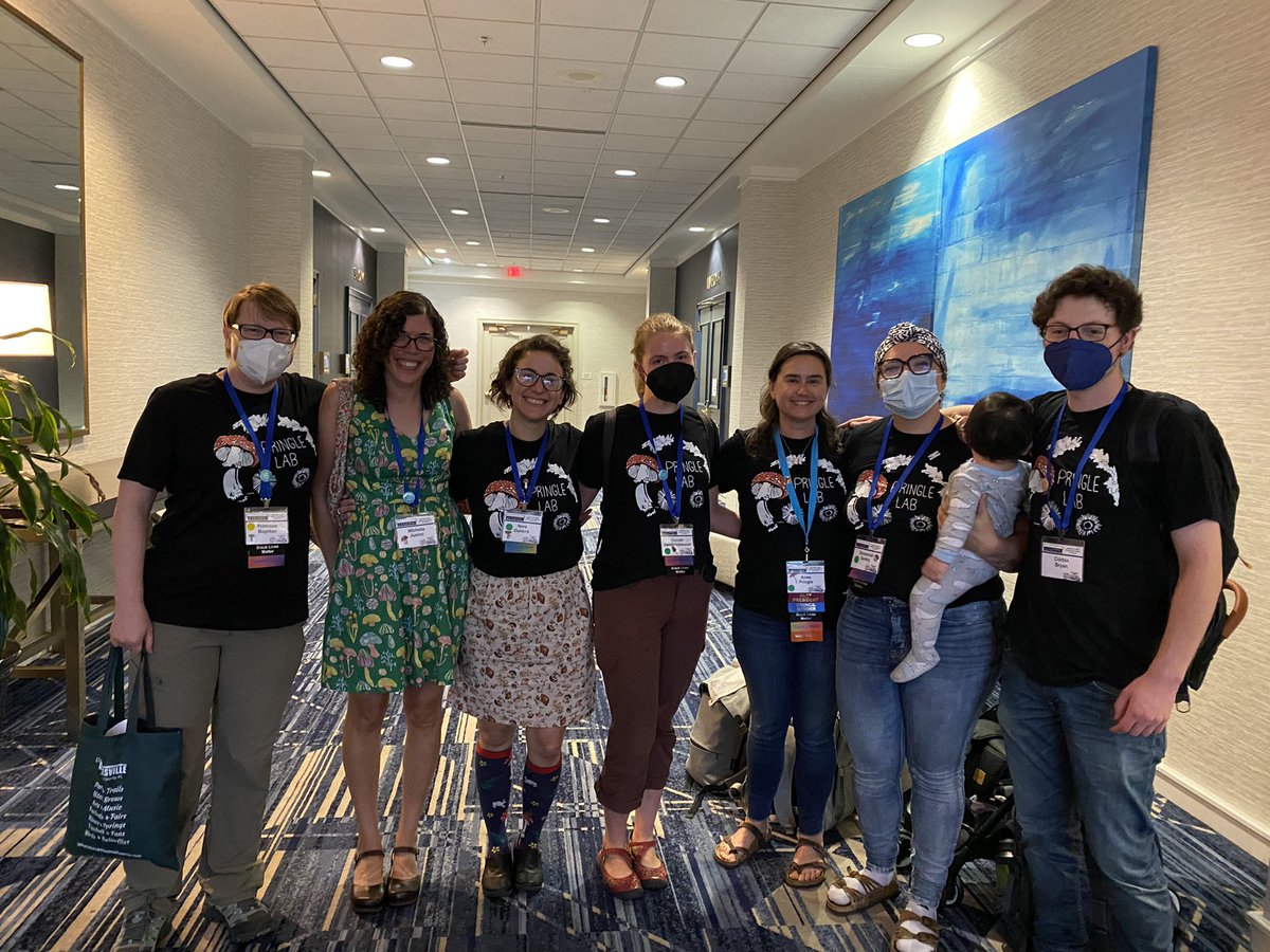 noramushrooms's tweet photo. We gathered Pringle lab members from near and far at #MSAfungi22 for a group photo in our new lab shirts! #PringleLab https://t.co/jdoLqwEYWR
