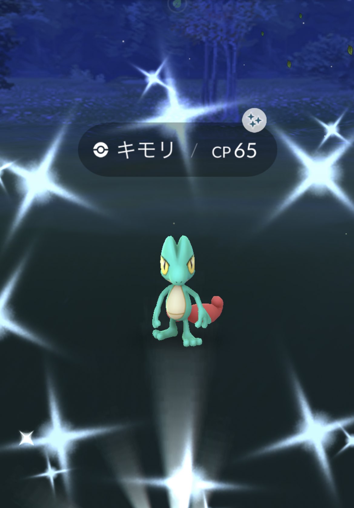 キモリ Twitter Search Twitter