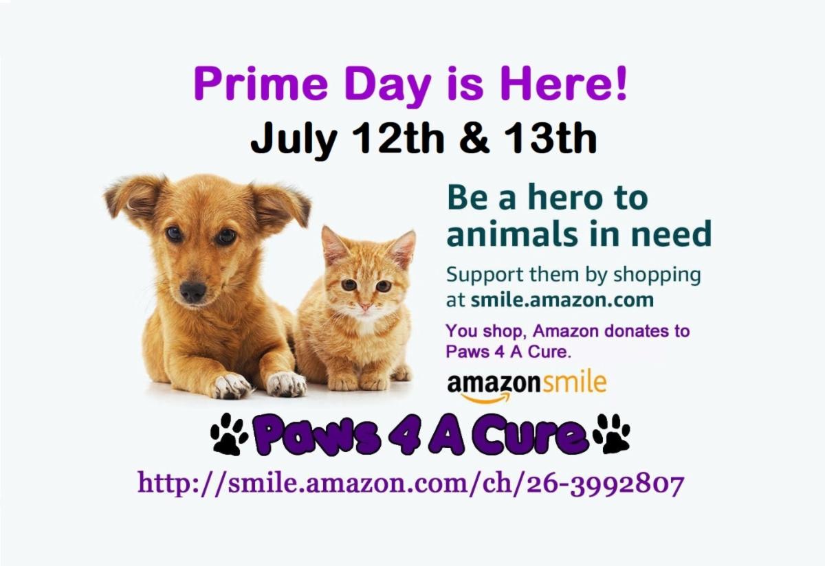 Paws 4 A Cure tweet media