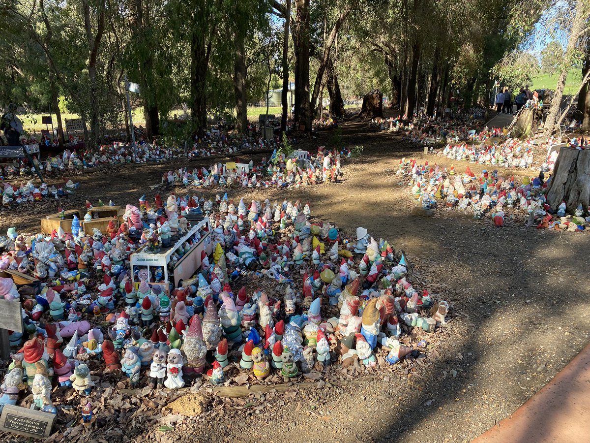 A <a href="/DApeWives/">Desperate ApeWives</a> at gnomesville WA. Aprox 15.000 gnomes.