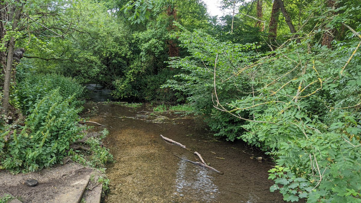 ConinaUK's tweet photo. Lunchtime view at #AntonLakes in Andover. https://t.co/UdslyzBGqq