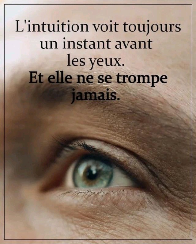 NELLYTSHELAMUT's tweet photo. L'#intuition ?
C'est voir avant de voir!
Sans avoir vu avant!
Mais voir tout de même !

Comment définiriez ce concept ? https://t.co/6TLe7GqxbC