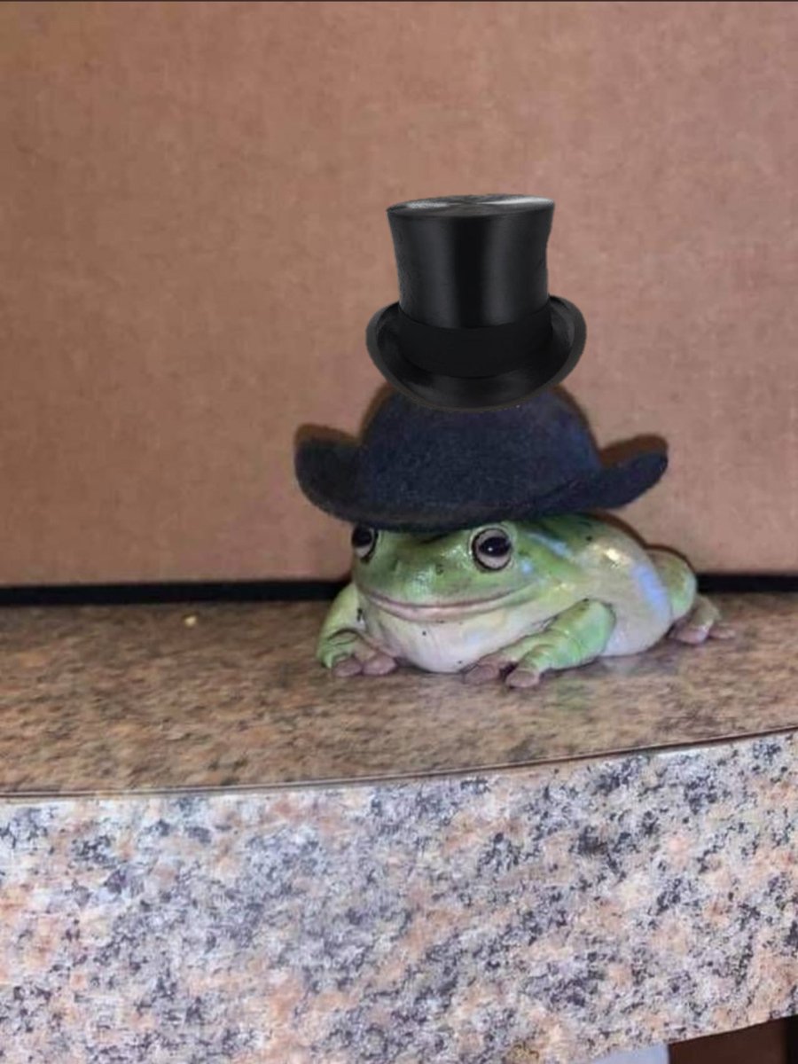 TophatON's tweet photo. @Animals_W_Hats Hat mania! https://t.co/ELjUdad2VA