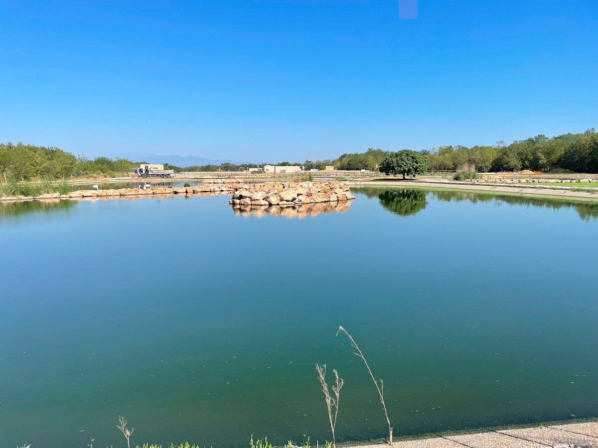 PhageLand Project tweet media