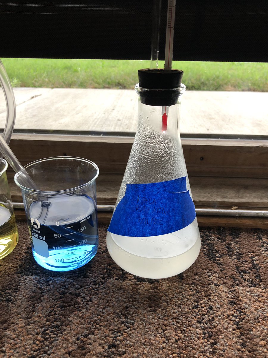 Kayla Pohle tweet media