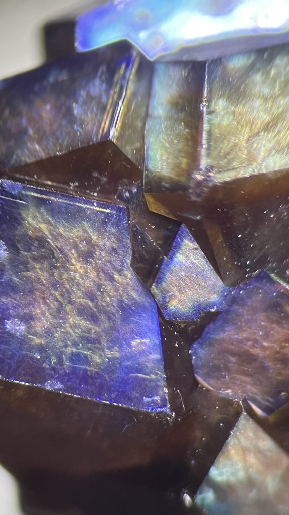 MicroscopeFans's tweet photo. Rainbow Garnet
Locality:Tenkawa, Nara, Japan
レインボーガーネット
#Iridescence #イリデッセンス #rainbow #レインボー #虹色 #神秘的な模様 #ガーネット #MicroscopeFans #顕微鏡ファンズ #microscope #microscopephotography #microscopy https://t.co/tU4GQz8bgg