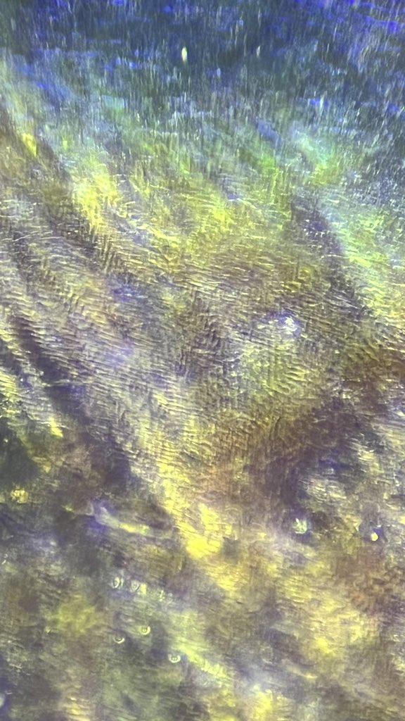 MicroscopeFans's tweet photo. Rainbow Garnet
Locality:Tenkawa, Nara, Japan
レインボーガーネット
#Iridescence #イリデッセンス #rainbow #レインボー #虹色 #神秘的な模様 #ガーネット #MicroscopeFans #顕微鏡ファンズ #microscope #microscopephotography #microscopy https://t.co/tU4GQz8bgg