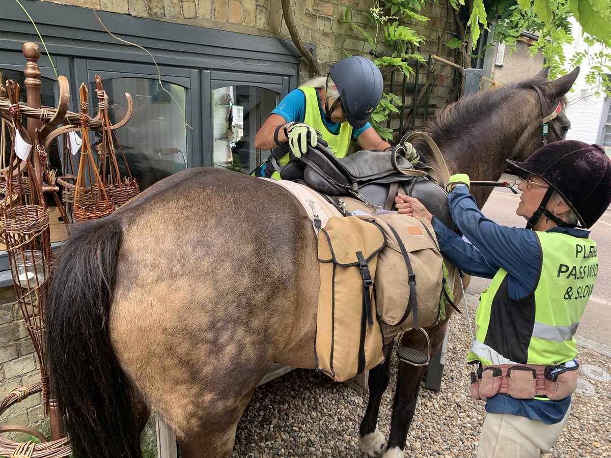 galleryabove's tweet photo. We have had some very special visitors at the Gallery today. Skye and Bramble have trekked all the way from Lincolnshire to Linton, accompanied by their two-legged friends. Open Studios means open to all! @CamOpenStudios #Cambridge #art #horses https://t.co/v9DBYi9moX