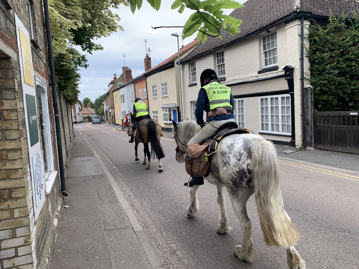 galleryabove's tweet photo. We have had some very special visitors at the Gallery today. Skye and Bramble have trekked all the way from Lincolnshire to Linton, accompanied by their two-legged friends. Open Studios means open to all! @CamOpenStudios #Cambridge #art #horses https://t.co/v9DBYi9moX