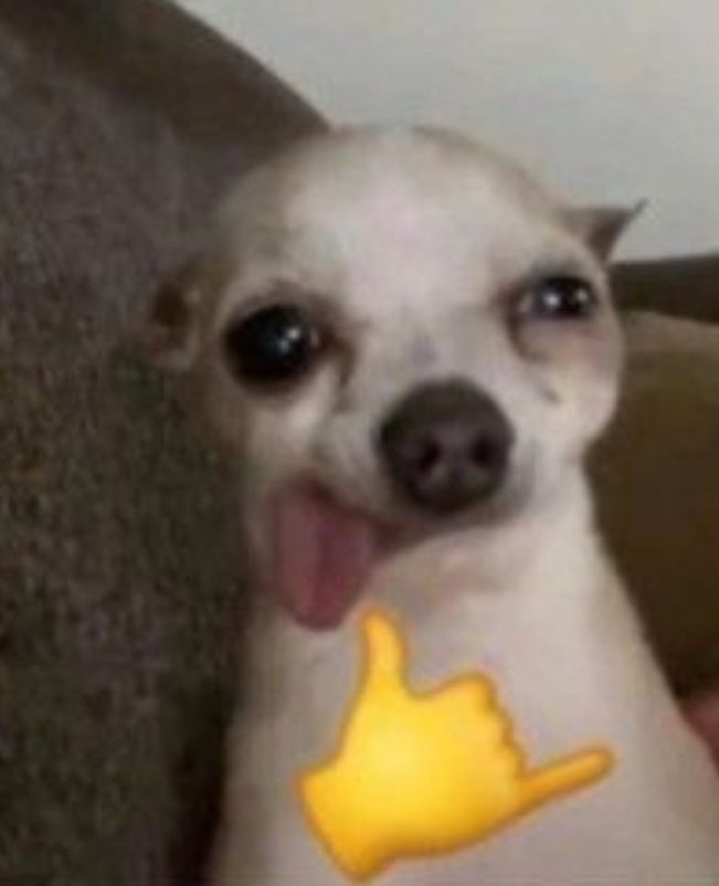 meaaawl's tweet photo. Тред, который нам был жизненно необходим. 
Ким Сынмин(ака бог мира и красоты), как фотки собачек💌

(буду рада рт😽💋э https://t.co/R9YupJIonU