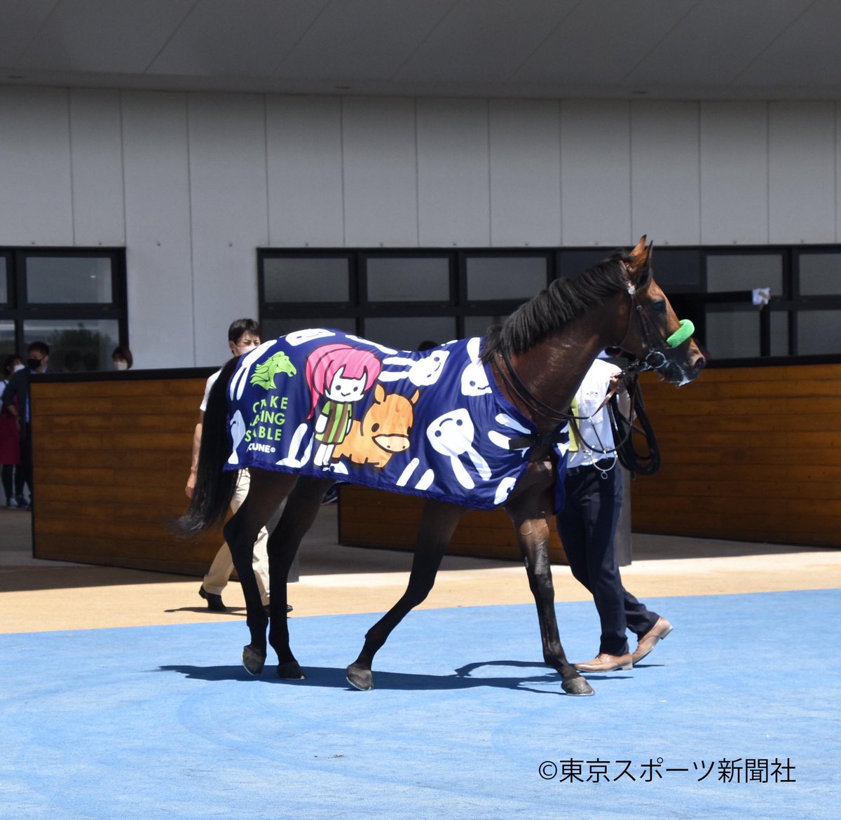 今年の募集だと出資してたヴィクトリアピースの下なら、この馬服の姿を見れるのか(^-^) 