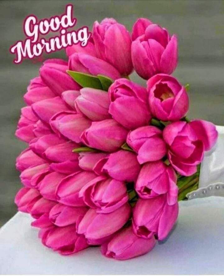 SoysaManjula's tweet photo. @HansamaliSasini https://t.co/nNG9WnSlPM