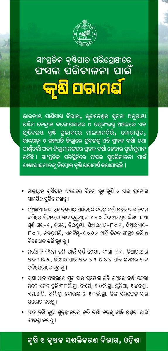 krushibibhag's tweet photo. #ସାଂପ୍ରତିକ_ବୃଷ୍ଟିପାତ ପରିପ୍ରେକ୍ଷୀରେ #ଫସଲ ପରିଚାଳନା ପାଇଁ #ଚାଷୀଭାଇମାନଙ୍କୁ ନିମ୍ନୋକ୍ତ #କୃଷିପରାମର୍ଶ |  @OdishaSecretary @Horticultureod1 @soilcons_odisha @rajaaswain https://t.co/IRdn63BMDM