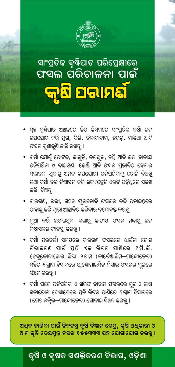 krushibibhag's tweet photo. #ସାଂପ୍ରତିକ_ବୃଷ୍ଟିପାତ ପରିପ୍ରେକ୍ଷୀରେ #ଫସଲ ପରିଚାଳନା ପାଇଁ #ଚାଷୀଭାଇମାନଙ୍କୁ ନିମ୍ନୋକ୍ତ #କୃଷିପରାମର୍ଶ |  @OdishaSecretary @Horticultureod1 @soilcons_odisha @rajaaswain https://t.co/IRdn63BMDM