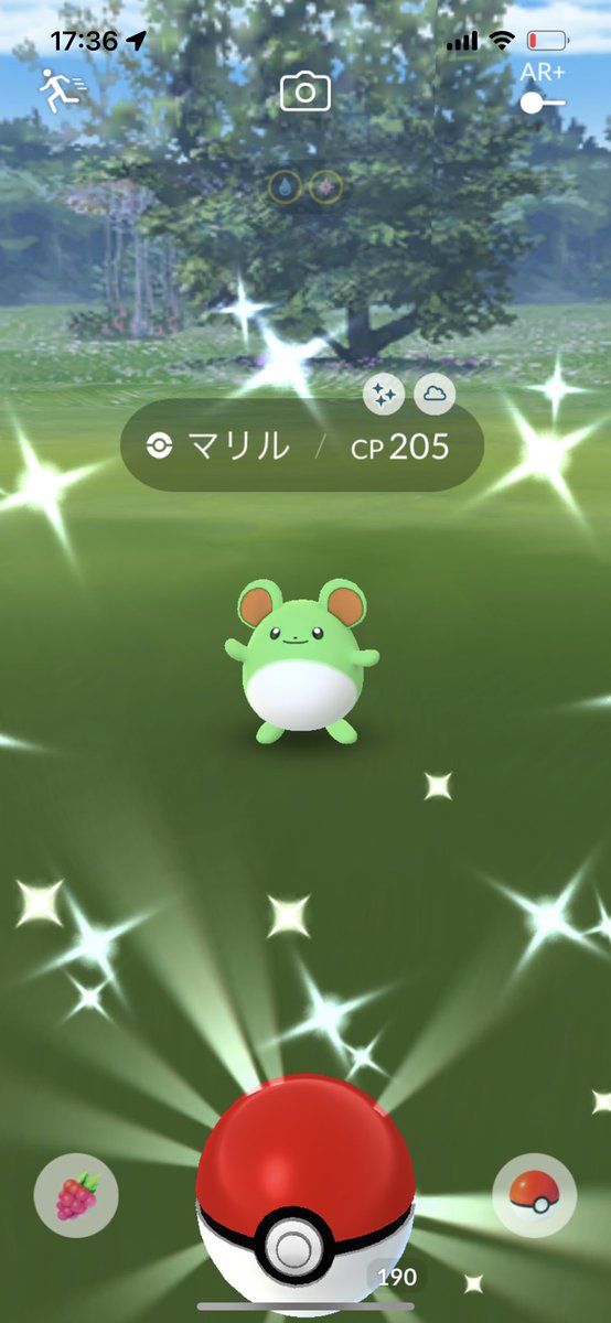 ダイパリメイク sp マリルの色違い入手方法 ポケモンbdsp 攻略大百科 ダイパリメイク sp マリルの色違い入手方法 ポケモンbdsp 攻略大百科