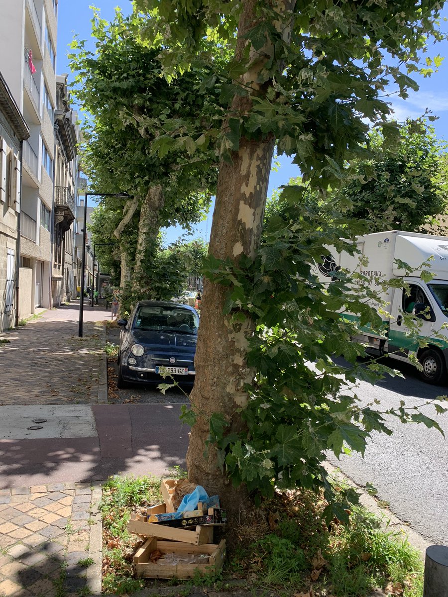 gabriellecluzel's tweet photo. Quand l’écologie devient prétexte à ne plus rien entretenir… ici, rue Judaïque à #Bordeaux, jadis très léchée : rejets sur les arbres, mauvaises herbes omniprésentes mêlées aux détritus.. pourquoi vouloir absolument faire ressembler cette magnifique ville bourgeoise à une ZAD ? https://t.co/apNC3hGzwf