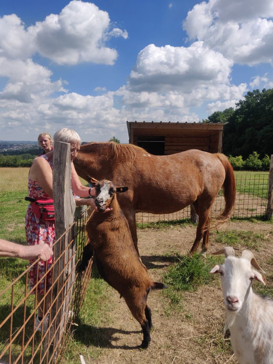 t21services's tweet photo. Cette semaine, notre équipe de "la Ferme à Laine" a eu le plaisir d'accueillir quelques résidents de la maison de repos La Barcarolle Stembert ! 
Ils ont passé une agréable journée en compagnie de notre équipe sous un beau soleil et des sourires de toutes parts. 🥰 https://t.co/2LntOuBgUQ