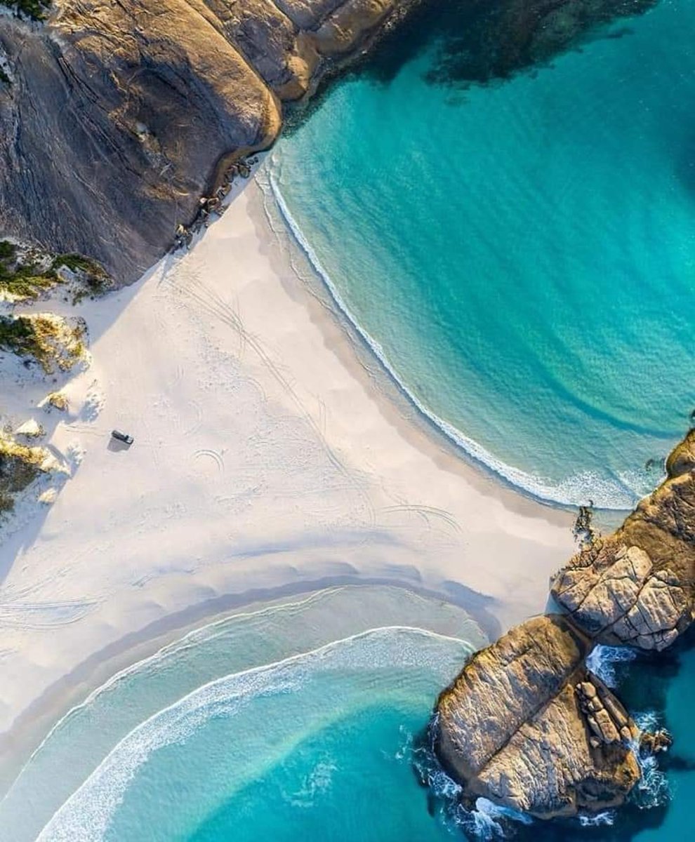 👑good morning, happy new day twitter world 💚🌿💙🌿💜🌿