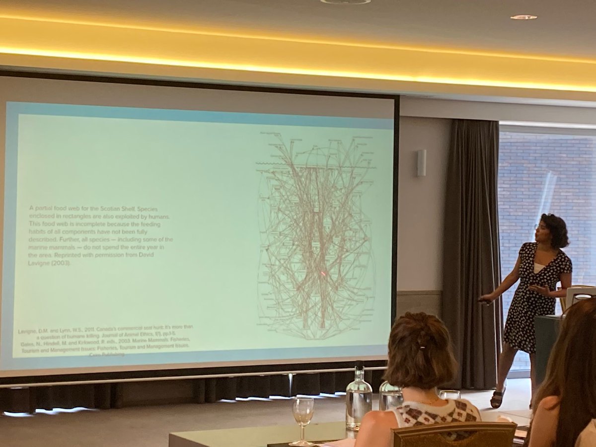 Project Cornelia tweet media