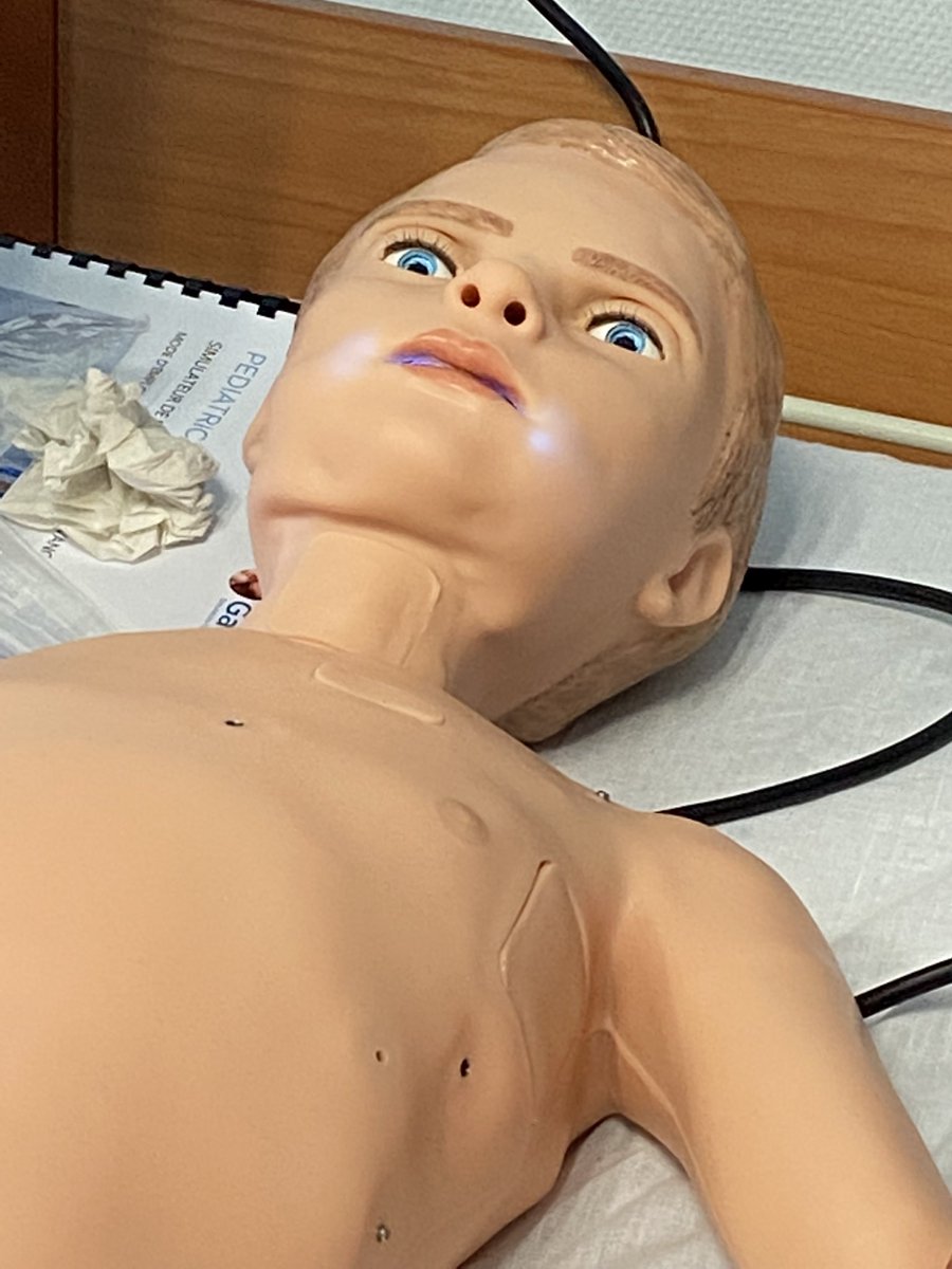 Nikal_ECGE's tweet photo. Nouveau cap dans la formation proposée par l’#ABSLab, à @UnivPoitiers. Voici Hal, notre nouveau mannequin pédiatrique pour la formation des professionnels de santé @CHU_de_Poitiers @poitiersfr https://t.co/b6Zh86fszt