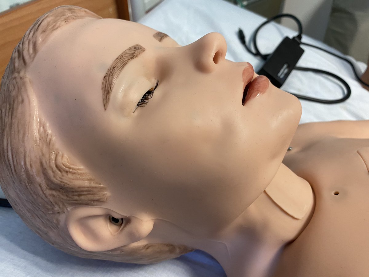 Nikal_ECGE's tweet photo. Nouveau cap dans la formation proposée par l’#ABSLab, à @UnivPoitiers. Voici Hal, notre nouveau mannequin pédiatrique pour la formation des professionnels de santé @CHU_de_Poitiers @poitiersfr https://t.co/b6Zh86fszt