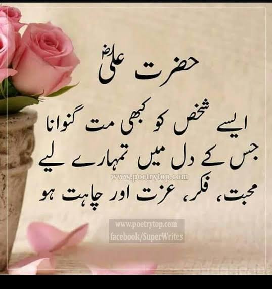 Hassan Ali (@hassana67532051) on Twitter photo 